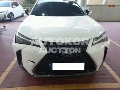 2021, Lexus / ux250h, 77193 км., hybrid