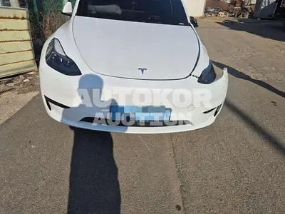2023, Tesla / Model Y, 40000 км., electric