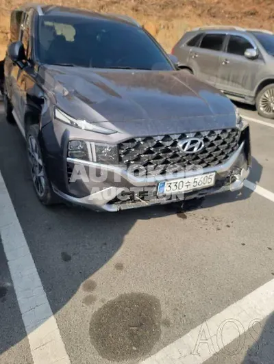2021, Hyundai / Santa FE, VIN: KMHS581HGMU341212, diesel, 2200 куб.см.