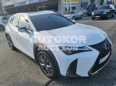 2020, Lexus / UX 250, VIN: JTHR6JBH1L2068104, 29145 км., hybrid