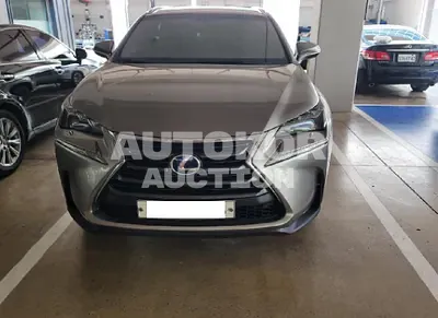 2017, Lexus / NX 300, VIN: JTJBJRBZ1H2056371, 50925 км., hybrid