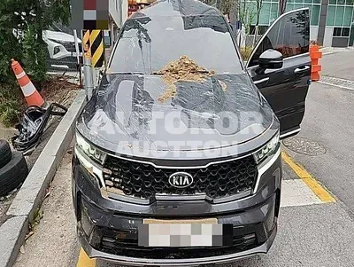 2020, Kia / Sorento, VIN: KNARF81BGMA021033, 20783 км., diesel, 2151 куб.см.