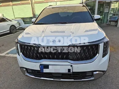 2026, Kia / Carnival, 3200 км., hybrid, 1598 куб.см.