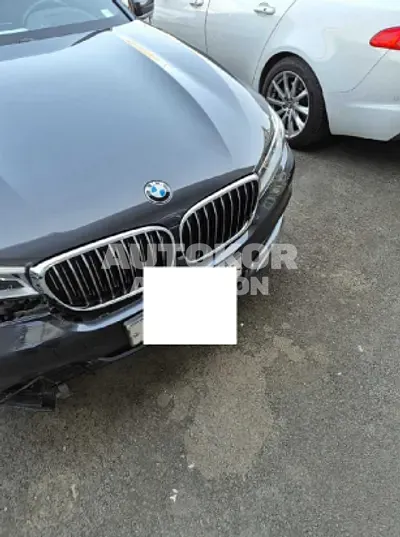 2016, BMW / 730, VIN: WBA7C4109GG435173, 202752 км., diesel