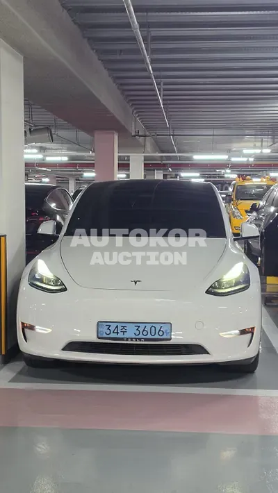 2023, Tesla / Model Y, VIN: 7SAYGDEE3PF641488, 78500 км., electric