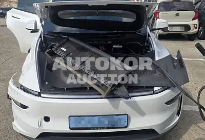 2025, Tesla / Model Y, electric