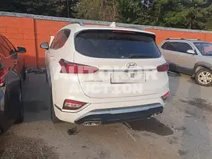 2019, Hyundai / Santa FE, VIN: KMHS581BBLU242926, diesel