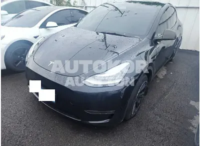 2021, Tesla / Model Y, VIN: 5YJYGDEE9MF167622, 52491 км., electric