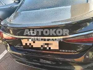 2020, Lexus / ES 300, VIN: JTHB21B19L2107151, 51000 км., hybrid, 2487 куб.см.