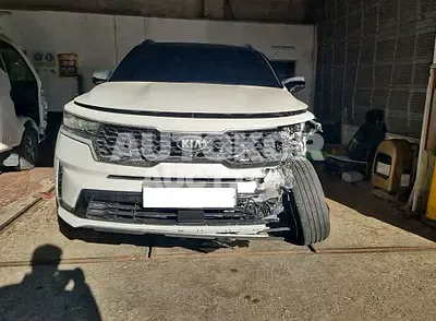 2021, Kia / Sorento, VIN: KNARH81BGMA010319, diesel