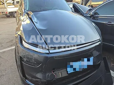 2025, Tesla / Model Y, electric