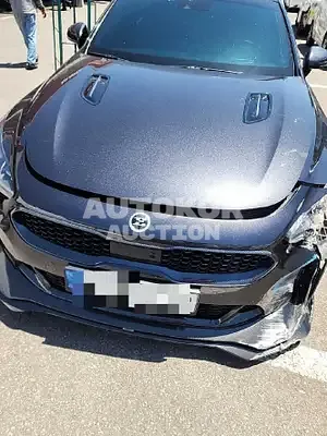 2019, Kia / Stinger, 70000 км., gas, 3342 куб.см.