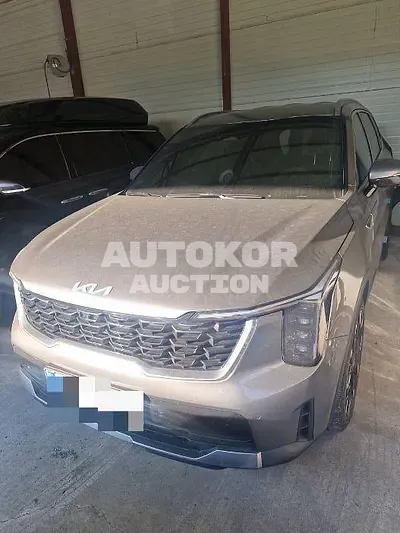 2024, Kia / Sorento, diesel, 2151 куб.см.