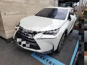 2016, Lexus / NX 300, VIN: JTJBJRBZ9G2047805, 113090 км., hybrid, 2494 куб.см.