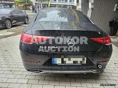 2020, Mercedes-Benz / cls300, 74234 км., diesel
