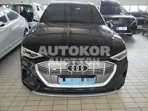 2020, Audi / e-tron, VIN: WAUZZZGE0LB031502, 79378 км., electric, 240 куб.см.