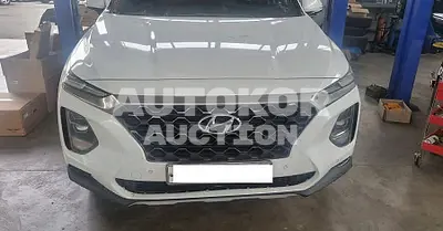 2019, Hyundai / Santa FE, VIN: KMHS381BBKU080204, 88436 км., diesel
