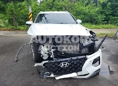 2019, Hyundai / Santa FE, VIN: KMHS281BBKU054128, diesel