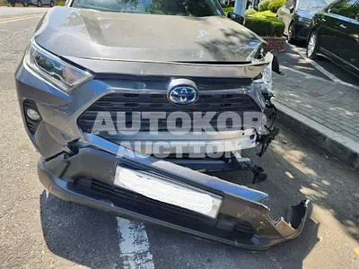 2019, Toyota / RAV4, VIN: JTMW2RFV2KD026459, 42374 км., hybrid