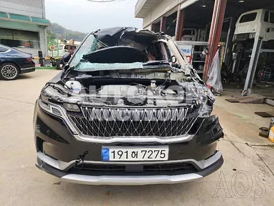 2023, Kia / Carnival, VIN: KNANB813BPS235598, gas