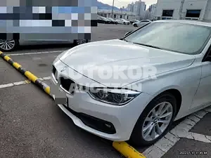 2018, BMW / 320, VIN: WBA8C5109JK734550, 55511 км., diesel