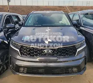 2020, Kia / Sorento, VIN: KNARH81BGMA033576, diesel