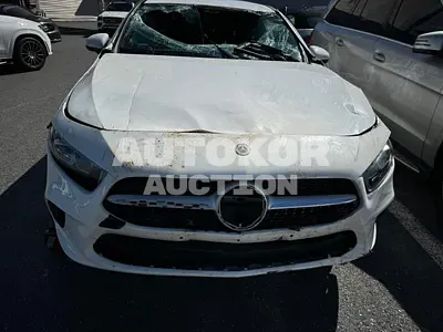 2021, Mercedes-Benz / A 220, VIN: W1K3G4EB3MJ261798, gas