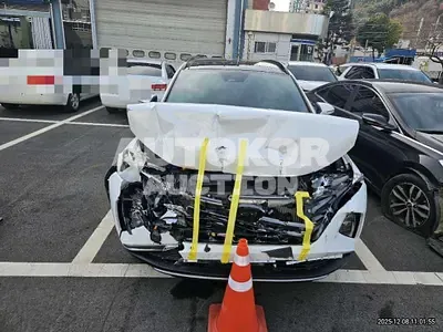 2023, Hyundai / Tucson, 29841 км., hybrid