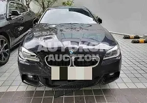 2015, BMW / 530, 190924 км., diesel, 2993 куб.см.