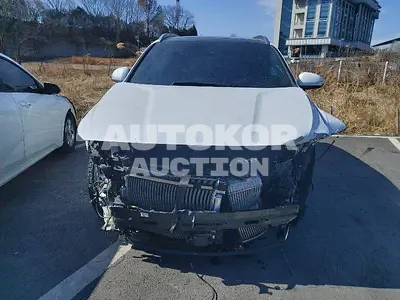 2019, Hyundai / Santa FE, VIN: KMHS281BBKU161615, diesel