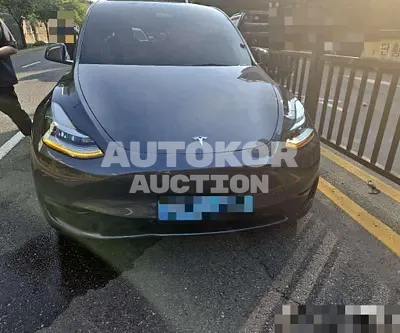 2022, Tesla / Model Y, electric