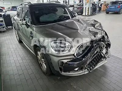 2019, MINI / Countryman, VIN: WMWYU9100K3H02010, gas