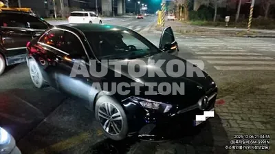 2022, Mercedes-Benz / a220, VIN: W1K3G4EB6NJ336673, 23938 км., gas