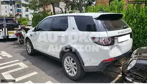 2019, Land Rover / Discovery Sport, VIN: SALCA2BN1KH824326, 64210 км., diesel