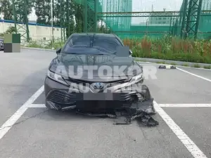 2019, Toyota / Camry, VIN: JTNB21HK6K3036528, 116110 км., hybrid
