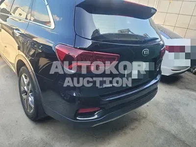 2019, Kia / Sorento, VIN: KNAPH811DLA631236, 90708 км., gas, 1998 куб.см.