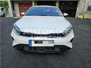 2021, BMW / Z1, 104877 км., gas, 1598 куб.см.