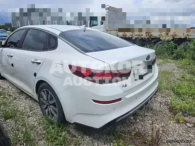 2019, BMW / B5, 50036 км., gas, 2000 куб.см.