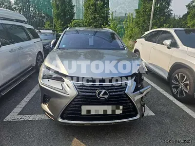 2018, Lexus / NX 300, 167820 км., hybrid