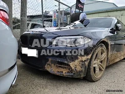 2015, BMW / 550, VIN: WBA5D9104FD969733, 260551 км., diesel