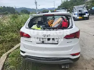 2016, Hyundai / Santa FE, VIN: KMHSW81UBGU638762, diesel, 1995 куб.см.