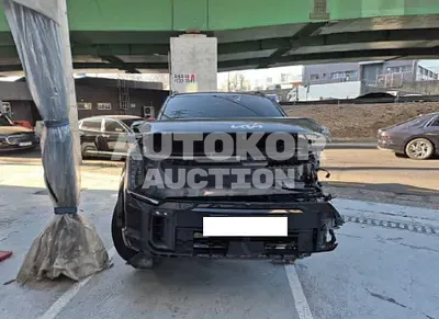 2024, Kia / ev9, 66471 км., electric