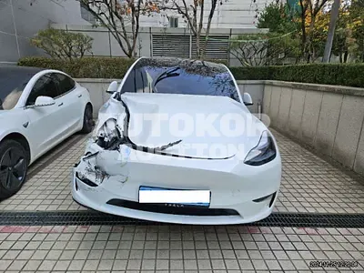 2024, Tesla / Model Y, VIN: LRWYGCEK9RC699812, 20000 км., electric