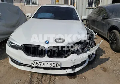 2020, BMW / 520, VIN: WBAJK9100LCD00383, gas