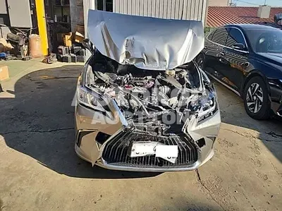 2019, Lexus / es300h, VIN: JTHB21B10K2023301, 110212 км., hybrid
