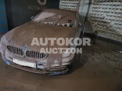 2020, BMW / 520, VIN: WBAJK9104LCD91934, gas