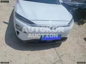 2019, Hyundai / Kona, VIN: KMHK281GFKU031930, electric