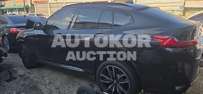 2024, BMW / X4, gas, 1998 куб.см.