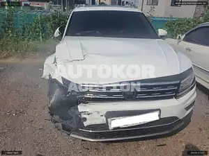 2019, Volkswagen / Tiguan, VIN: WVGZZZ5NZLW832110, diesel