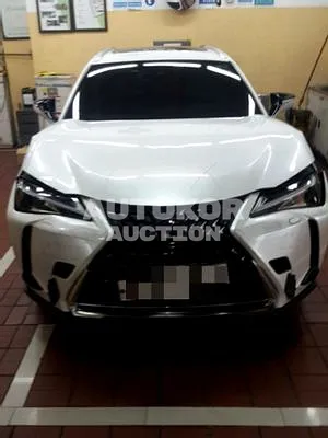 2020, Lexus / UX 250, VIN: JTHP6JBH7L2066137, 11831 км., hybrid